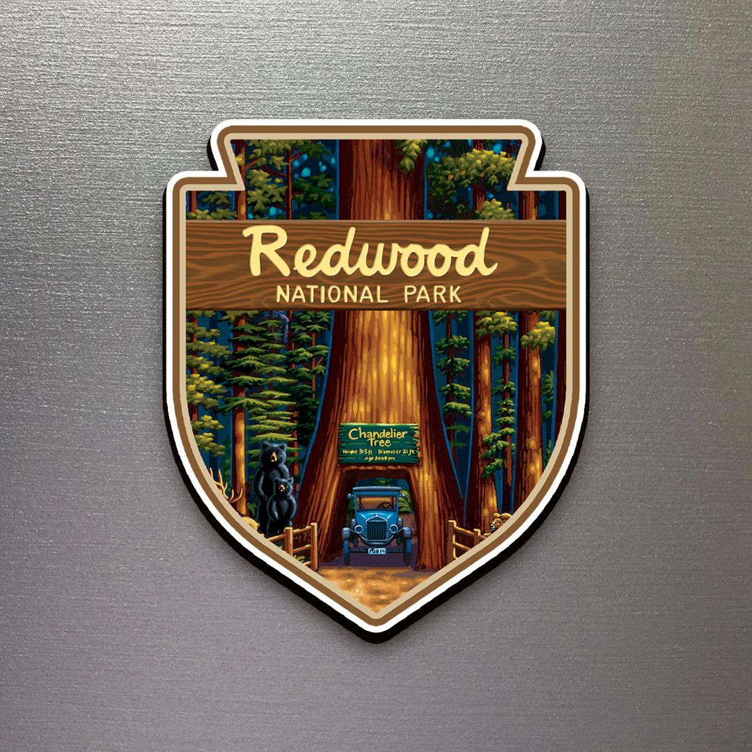 Redwood National Park - Magnet