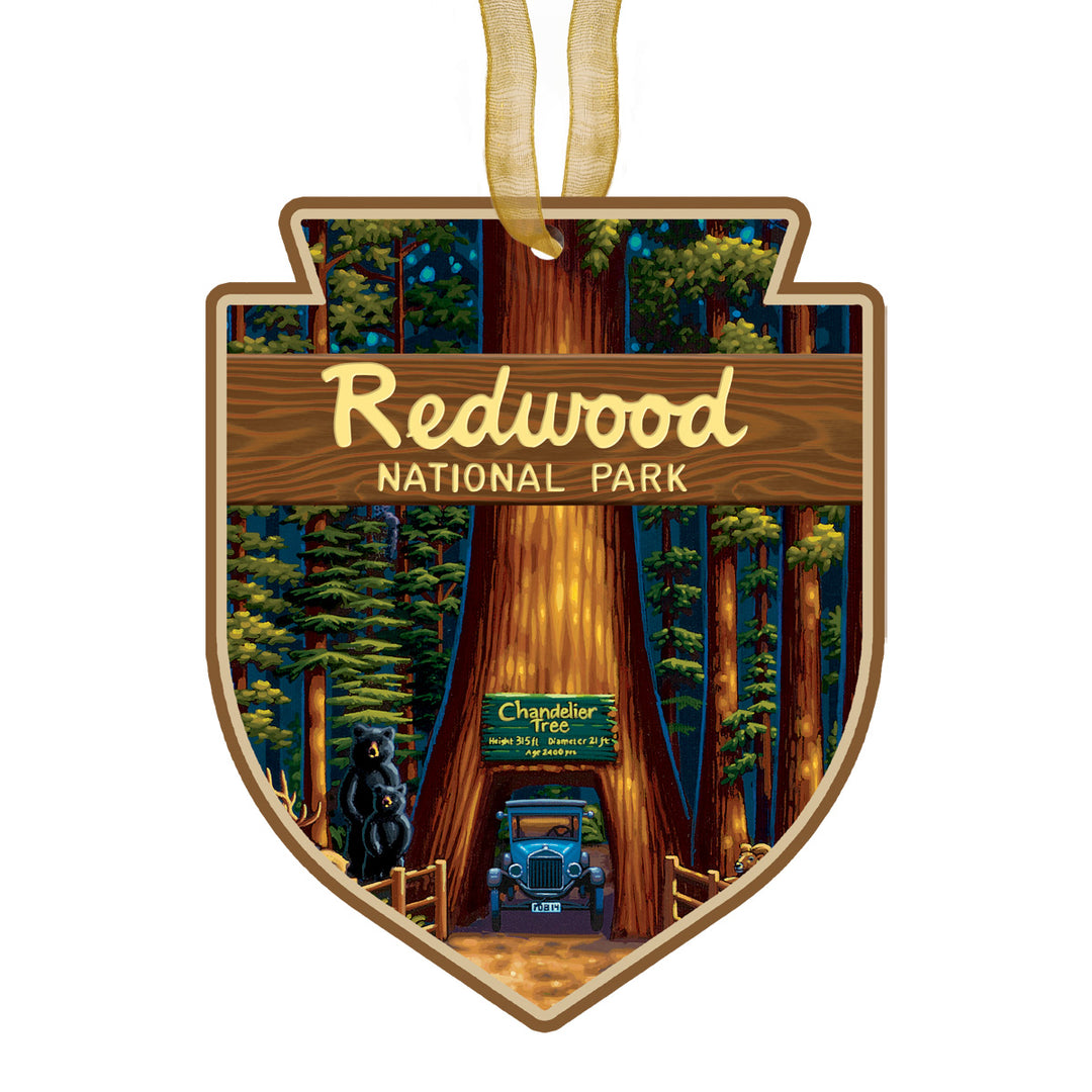 Redwood National Park - Ornament