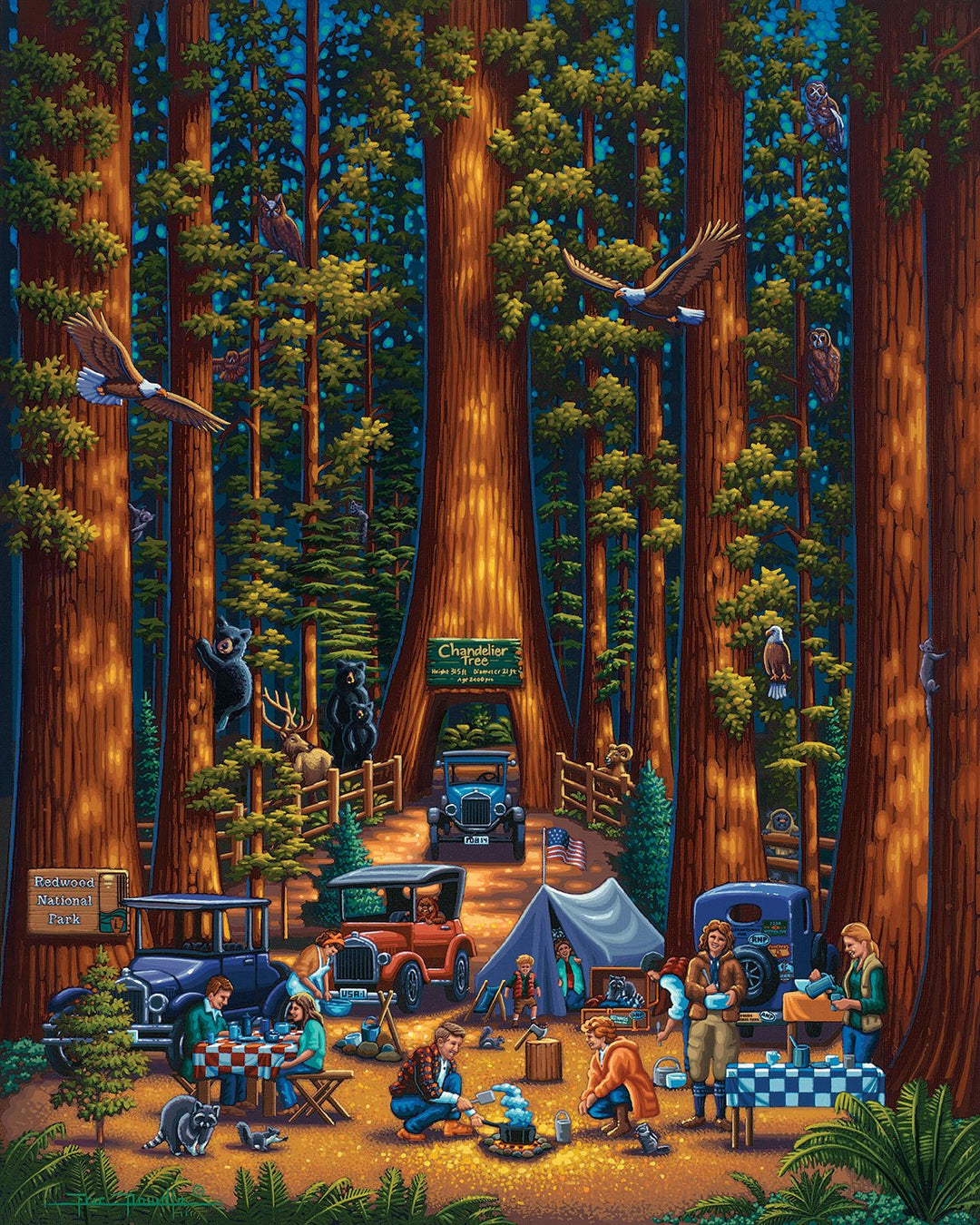 Redwood National Park Poster Print