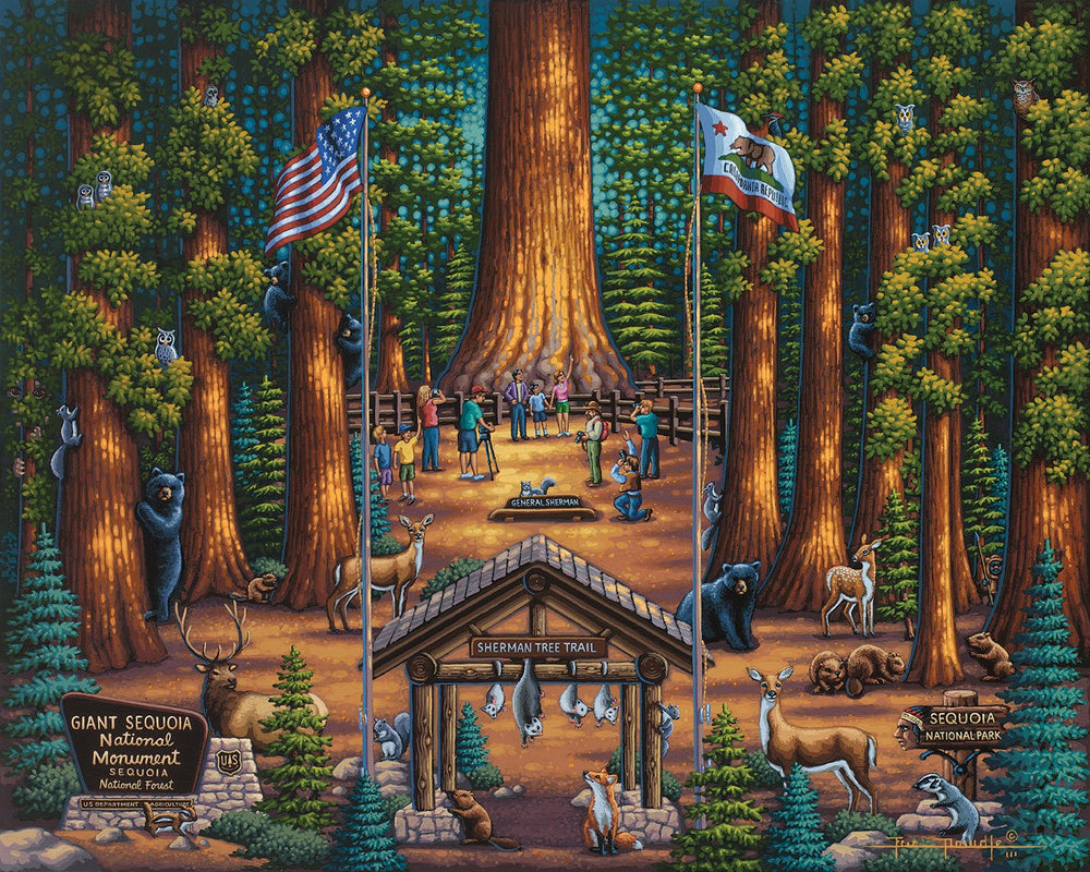 Sequoia National Park - 500 Piece