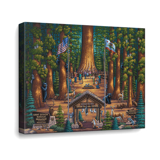 Sequoia National Park Canvas Gallery Wrap