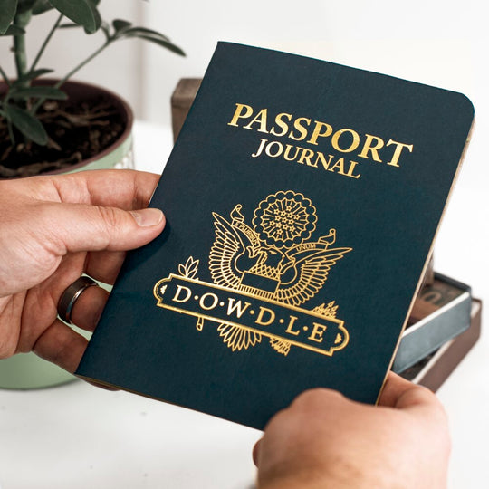 Travel Passport Kit